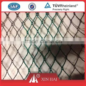 500D/4ply 15mm*15mm HDPE Multifilament Knotless Vinyeard Bird Netting for Sale, thumbnail-1