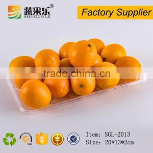 Cheap Clear Disposable PET Plastic Food Fruit Packaging Tray thumbnail-1