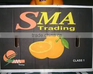 Sma Trading For Import And Export And Commercial Agencies company overview - view 1 thumbnail