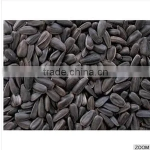 High Quality Black Sunflower Seeds for Oil Production, SUNFLOWER SEEDS thumbnail-1