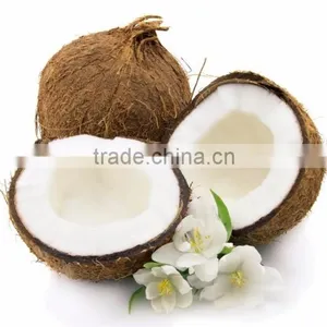 Fresh Coconuts - Export Quality Coconut thumbnail-6