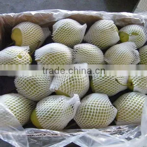Fresh Shandong Pear 60-70-80 in 15kg Carton thumbnail-5