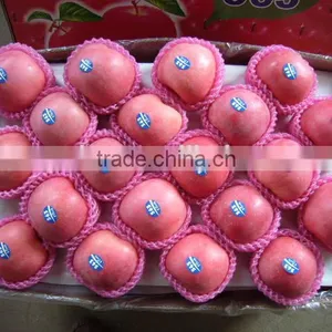 Fresh Fruit Apple for India Market thumbnail-1