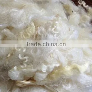 Scoured Sheep Wool for Carpet 30-34mic White and Light Color. thumbnail-1