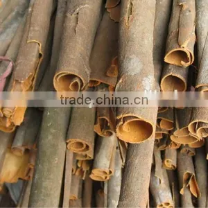 Vietnam Cassia High Oil Content, Thin and Dry thumbnail-1