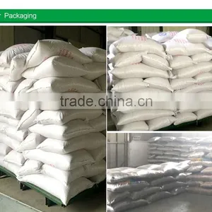 Chinese Inner Mongolia New Shine Skin Pumpkin Seeds thumbnail-6