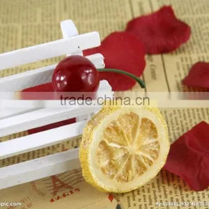 High Quality Food Vacuum Freeze Dryer Equipment thumbnail-3