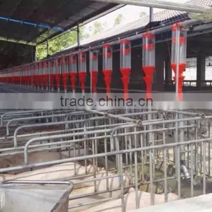 2016 Sow Pig Sty Pig Farming Equipment thumbnail-3