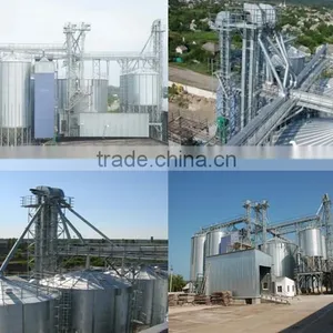 Chinese Hot Sale Chain Bucket Elevator, Mining Bucket Elevator thumbnail-6