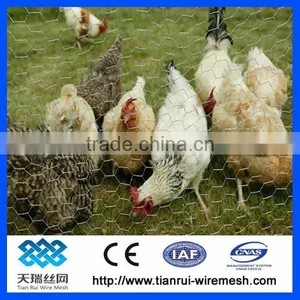 Pvc Coated/galvanized Hexagonal Wire Mesh thumbnail-2