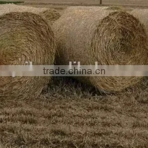 Best Price Tractor PTO Use Hay Round Baler Straw Baler Machine Grass Round Baler thumbnail-2
