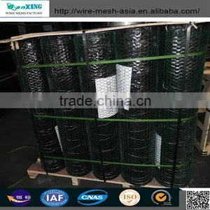 Hexagonal Wire Mesh/Hexagonal Wire Netting/Gabion Mesh thumbnail-1
