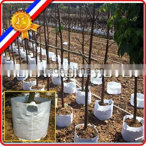 500gsm Non Woven Planting Tree Grow Bag thumbnail-1