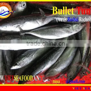 FROZEN BULLET TUNA W/R thumbnail-1