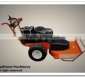 Lawn Mower thumbnail-1