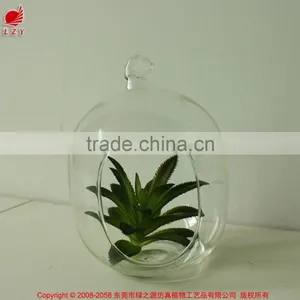 New Home Decor Succulent Art Craft Mini Terrarium Succulent Plant thumbnail-1