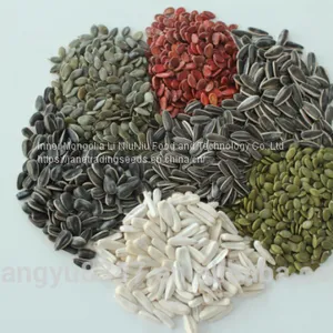 Sunflower Seeds thumbnail-2