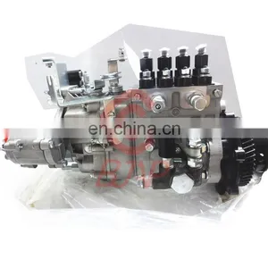 BJAP Injection Pump BHF4PW105007,4102EZL-A.16.10,4PWS503,V1300001 thumbnail-1