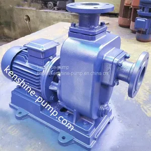 PW Open Impeller Sewage Centrifugal Horizontal Pump thumbnail-2
