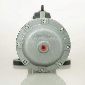 Straight Air Caliper Disc Brake for Packing Machine thumbnail-2