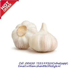 Fresh Garlic thumbnail-1