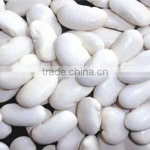 Large White Kidney Beans thumbnail-1