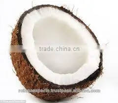 Semi Husked Coconut thumbnail-1
