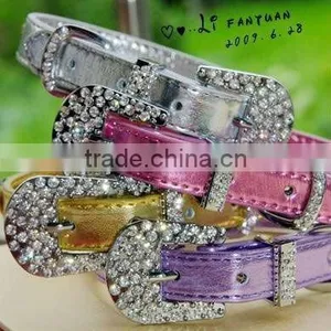 Dog Collars and Leashes thumbnail-1