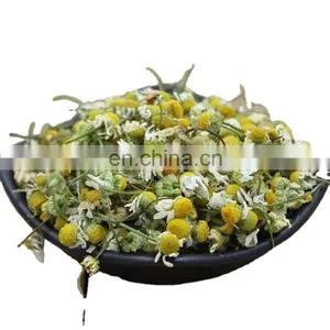 Chrysanthemum Tea Extracted From Chrysanthemum Flower the Optimal Choice for Your Health From Vietnam thumbnail-1