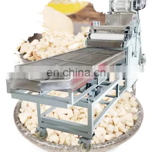 Factory Price Almond Cashew Walnut Chopper Machine thumbnail-1