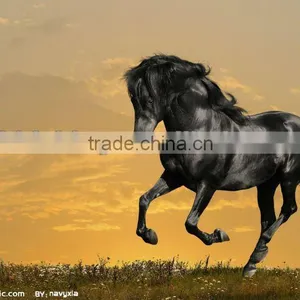 3d Lenticular Printing for Outdoor Advertising thumbnail-1