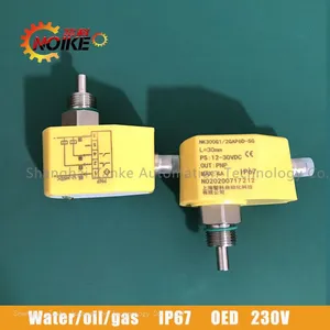 NOIKE Thermal Dispersion Flow Switch NK300B Series thumbnail-2