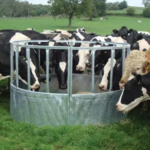 Steel Bale Loop Top Handing Equipment Portable Cattle Horse Feeder With Roof Animal Feeders thumbnail-5