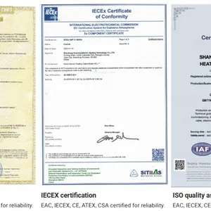 Conductive Polymer Gwk Cable for Anti-Freeze and De-Icing Solutions-Iecex and EAC Certified thumbnail-1