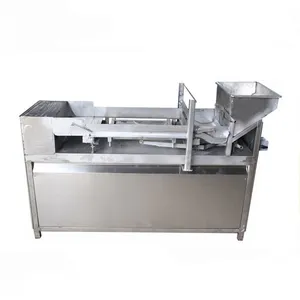Shanghai Complete Fruit Mango Bar Production Line thumbnail-5