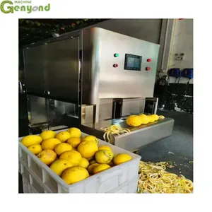 Orange Peeler Machine Fruit and Vegetable Peeling Machine thumbnail-3