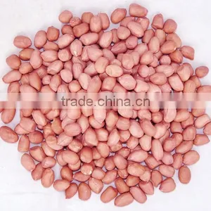 Blanched Peanut thumbnail-5