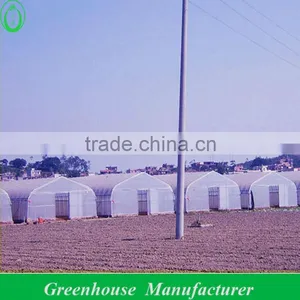New Tunnel Greenhouse thumbnail-1