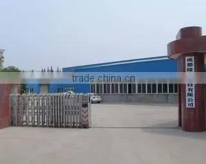 Chengdu Longqiang Technology Co., Ltd. company overview - view 3 thumbnail