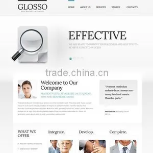 Internet Marketing and Seo Company India thumbnail-6