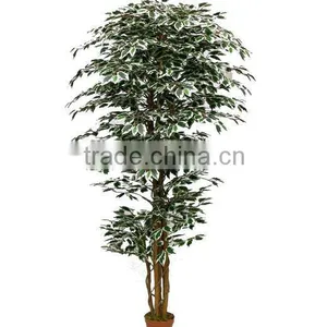 Artificial Ficus Trees thumbnail-1