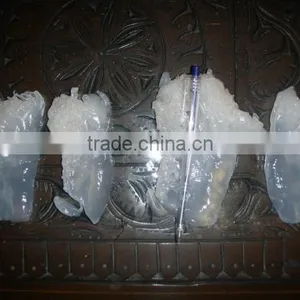 SALTED JELLY FISH thumbnail-2