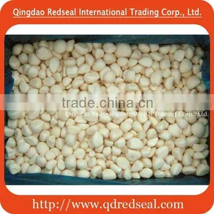 IQF Frozen Garlic thumbnail-1