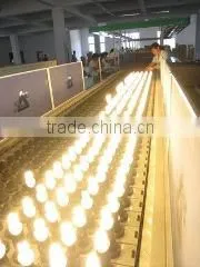 Ningbo Jintian Import And Export Co., Ltd. company overview - view 3 thumbnail