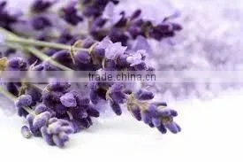 Lavender Essential Oil From Borg Export thumbnail-4
