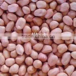 Lower Price Blanched Peanut Kernels Round Type thumbnail-4