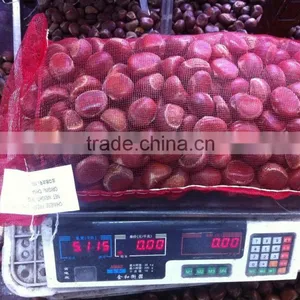 Good Reputation of Chinese Fresh Chestnut in Shell. thumbnail-2