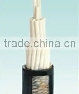 Control Cord thumbnail-1