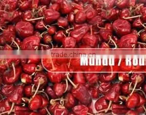 Round Red Chilles From Paramakudi thumbnail-4