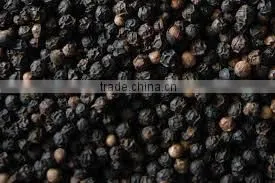 Black Pepper Indonesia thumbnail-1